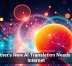 Tether&rsquo;s New AI Translation Needs No Internet